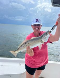 Spotted Weakfish caught while fishing in Spanish Fort