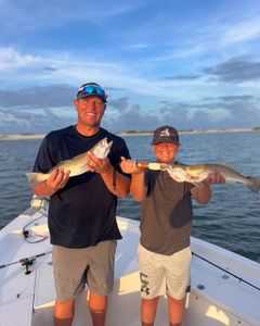 Two spotted weakfish, 15 inches long, caught while fishing in Spanish Fort