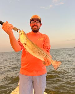 Spotted weakfish, 19-inch fishing catch in Spanish Fort