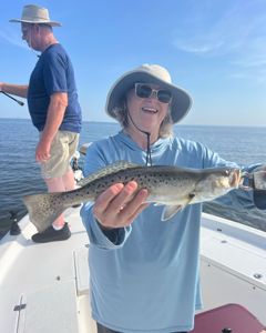 Spotted Weakfish caught in Spanish Fort