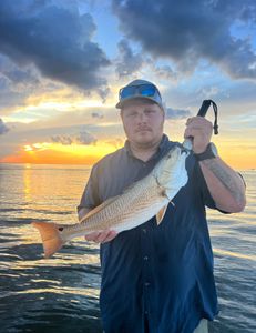 Angler with 1 fishing catch in Alabama