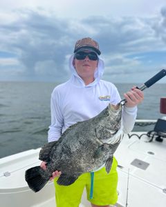 Tripletail fish caught while fishing in Alabama