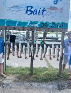 Inshore Fishing in Port Aransas