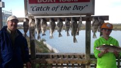 Black Drum Fishing in Port Aransas 