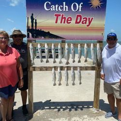 14 fish caught by 3 anglers in Fulton while fishing