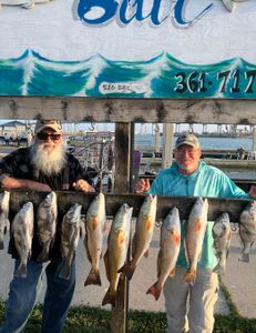 9 black drum and redfish caught during fishing trip in Fulton