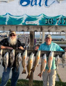 Rockport fishing guide