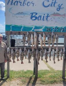 Three fish caught in Fulton while fishing