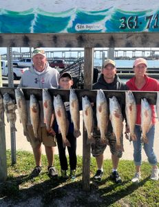 11 redfish caught by 4 people fishing in TX