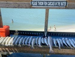 8 redfish caught fishing in TX