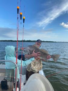 Galveston Fishing Charter Black Drum Catch! 