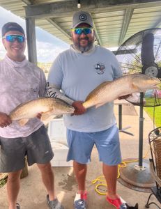 Look at these Redfish! 
