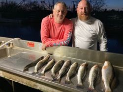 Galveston Bay Delights Anglers! Sea trout catches