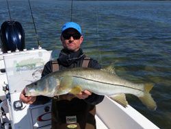 Reeled In This Huge Snook in Crystal River