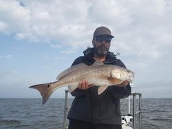 Redfish in Crystal Beach, FL