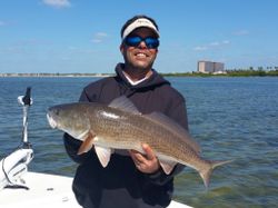 Redfish caught fishing in Homosassa