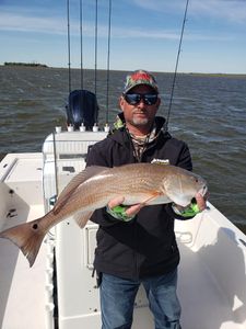One person fishing in Homosassa