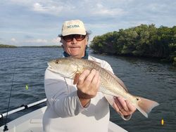 Redfish, 22-inch catch from Homosassa
