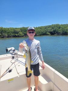 A single snook fish caught in Homosassa, Florida.