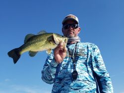 Largemouth bass caught in FL