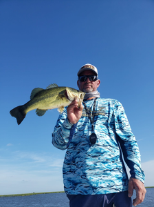 Largemouth Bass caught in Florida