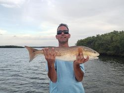 Redfish catch in FL