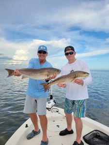 Two redfish, 25 inches long, caught in FL