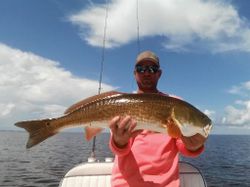 A redfish measuring 39 inches caught while fishing in FL