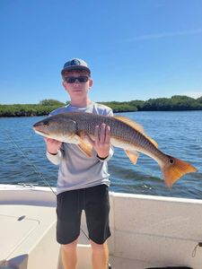 Redfish caught in Homosassa