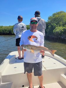 Redfish caught in Homosassa, Florida