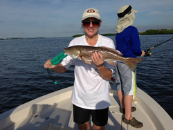 Redfish caught in Homosassa, Florida