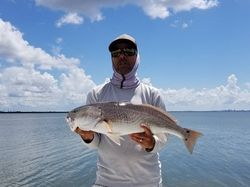 Redfish caught in FL by fishing