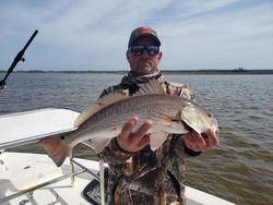 Redfish caught by an angler in Homosassa, fishing