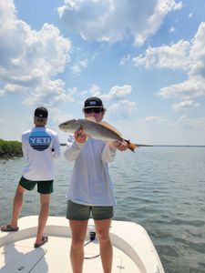 Redfish, 24-inch fish caught while fishing in Homosassa