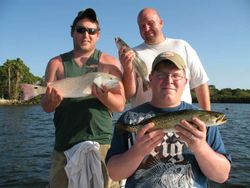 Three redfish caught during a fishing trip in Homosassa