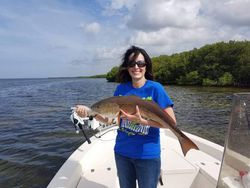 Redfish caught by angler in Homosassa