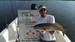 Redfish, 23 inches, caught in Homosassa