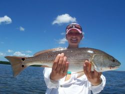 Redfish caught in Homosassa