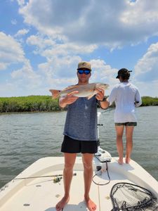 Redfish caught in Homosassa
