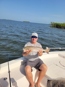 Light tackle triumph: A 20-inch redfish in Homosassa's partly cloudy skies!