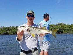 Snook fish caught by angler in Florida