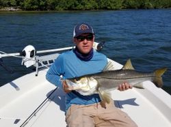 A photo of a Snook, a 26-inch fish caught while fishing in Homosassa.