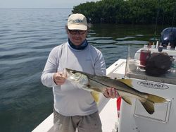 A snook fish caught while fishing in Homosassa