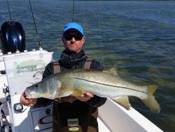 Snook fish caught while fishing in FL
