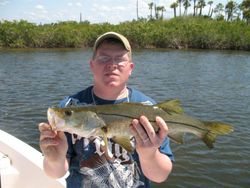 A single snook fish caught in Homosassa