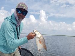 Lone angler fishing in Homosassa