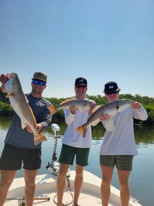 Three redfish caught in Florida