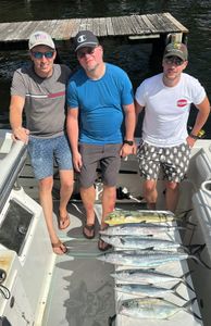 4 blue runner and mahi mahi fish caught in FL on fishing tour