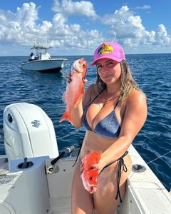 Two small fish caught on a fishing tour in Florida