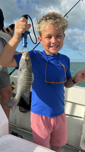 Nice grey snapper using deep sea jigging and trolling techniques!